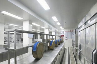 節能環保引領革新 廚房設備行業如何以綠色戰略贏取競爭優勢